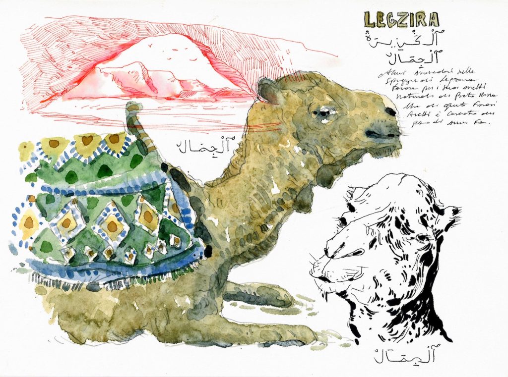 Carnet Maroc- Sighanda